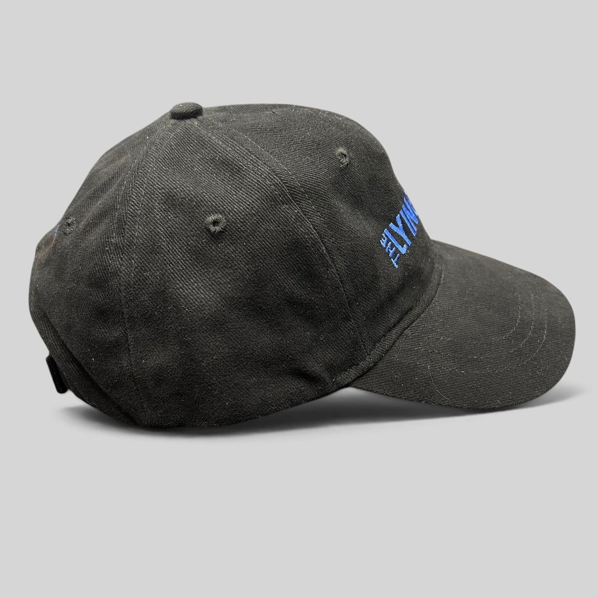 Raree Finds black cotton strapback hat with blue The Lying Game embroidery, side profile view of pilot crew cap.