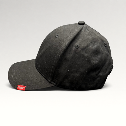 Raree Finds black six-panel strapback hat with a small red Ocean Park Hong Kong logo tag on the brim