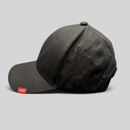 Raree Finds black six-panel strapback cap with a small red Ocean Park Hong Kong logo tag on the brim