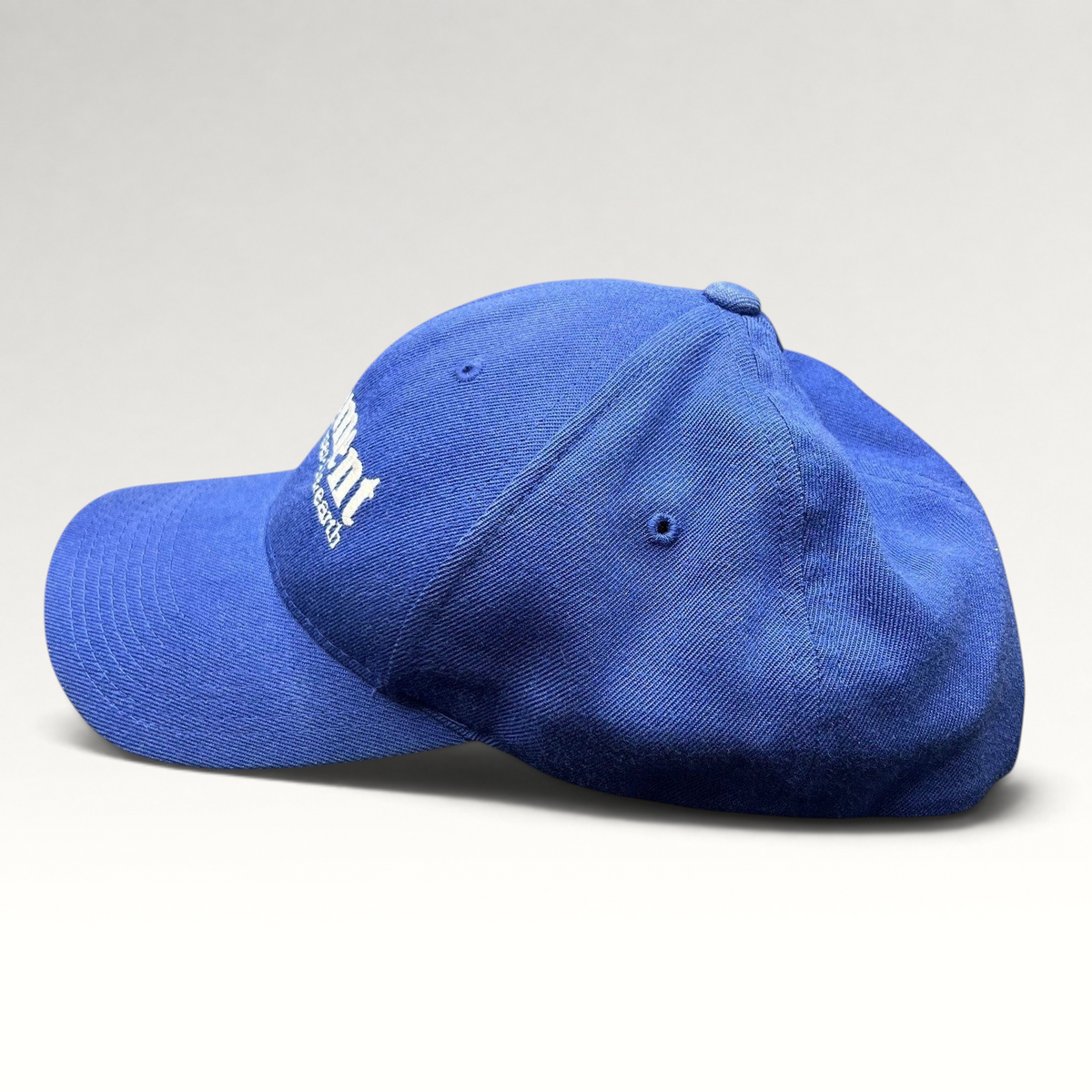 Raree Finds vintage blue Element Flexfit skate hat with white spellout logo and structured crown