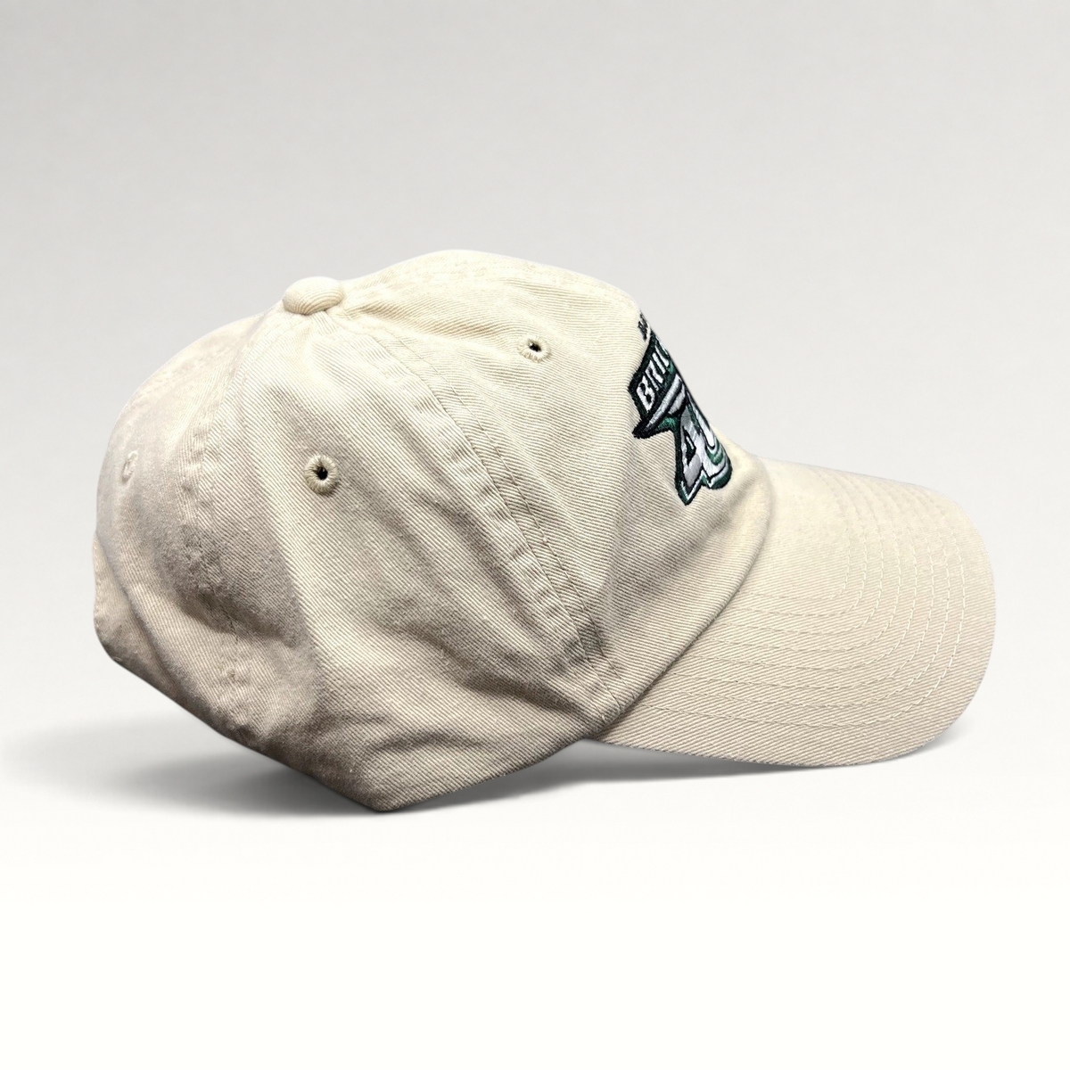 Raree Finds cream 100% cotton 2010 Brickyard 400 NASCAR strapback hat with embroidered logo and side detail