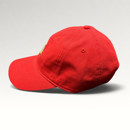 Raree Finds red Chicago Blackhawks Reebok cotton strapback hat with embroidered NHL logo