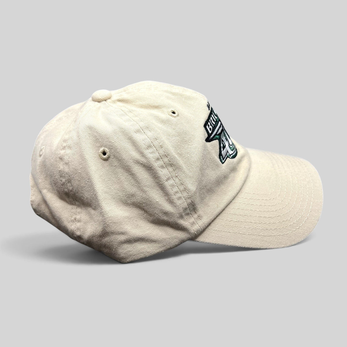Raree Finds cream cotton 2010 Brickyard 400 NASCAR strapback hat with embroidered event logo and side branding