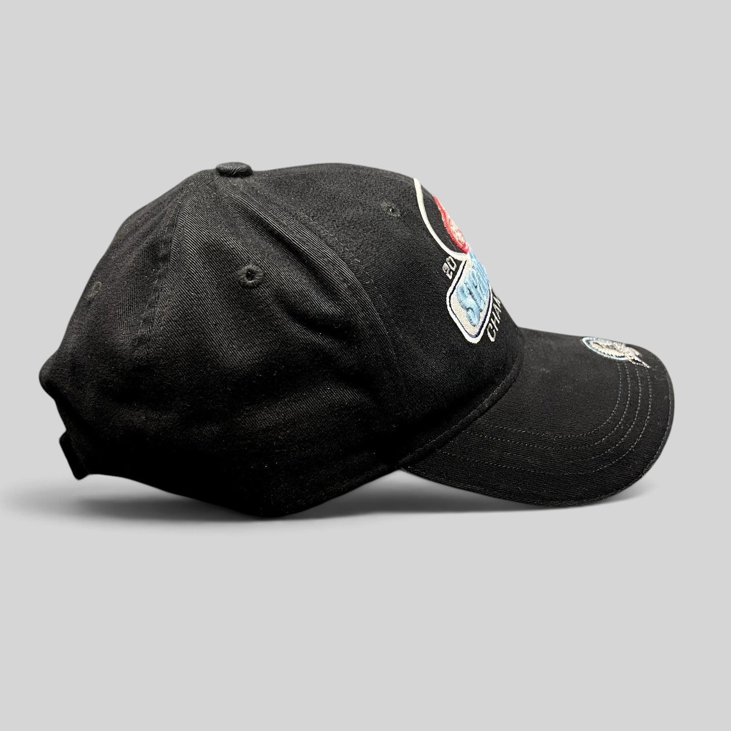 Raree Finds vintage 2002 Detroit Red Wings Stanley Cup Champions black strapback hat with brim embroidery