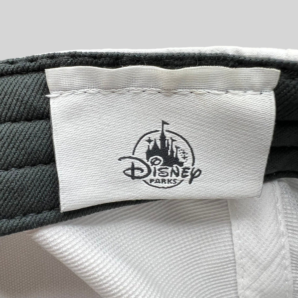 Raree Finds Disney Parks interior label on a white Nike Legacy 91 performance cap