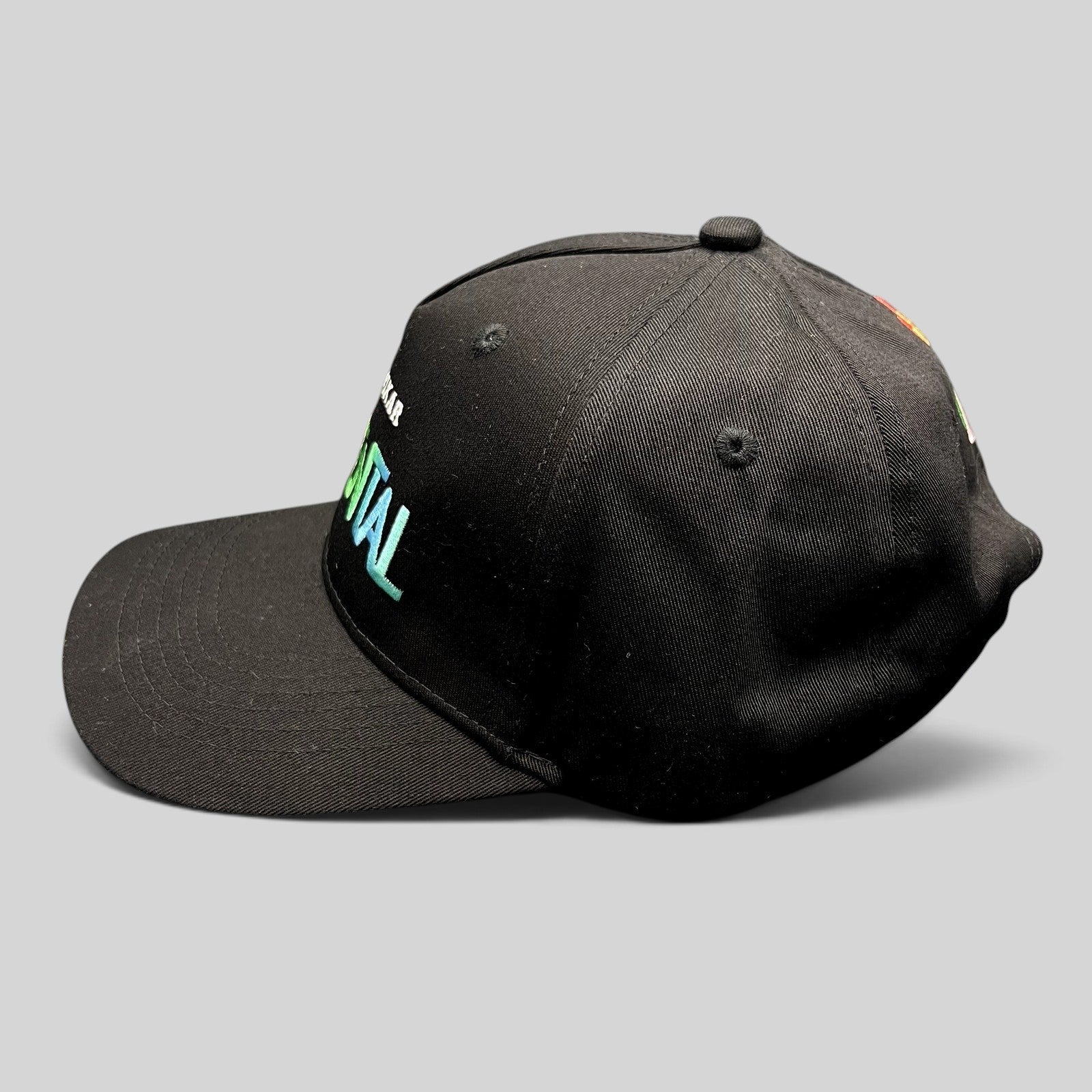 Raree Finds black Disney Pixar Elemental movie promotional strapback hat with colorful embroidered front logo