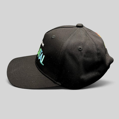 Raree Finds black Disney Pixar Elemental movie promotional strapback hat with colorful embroidered front logo
