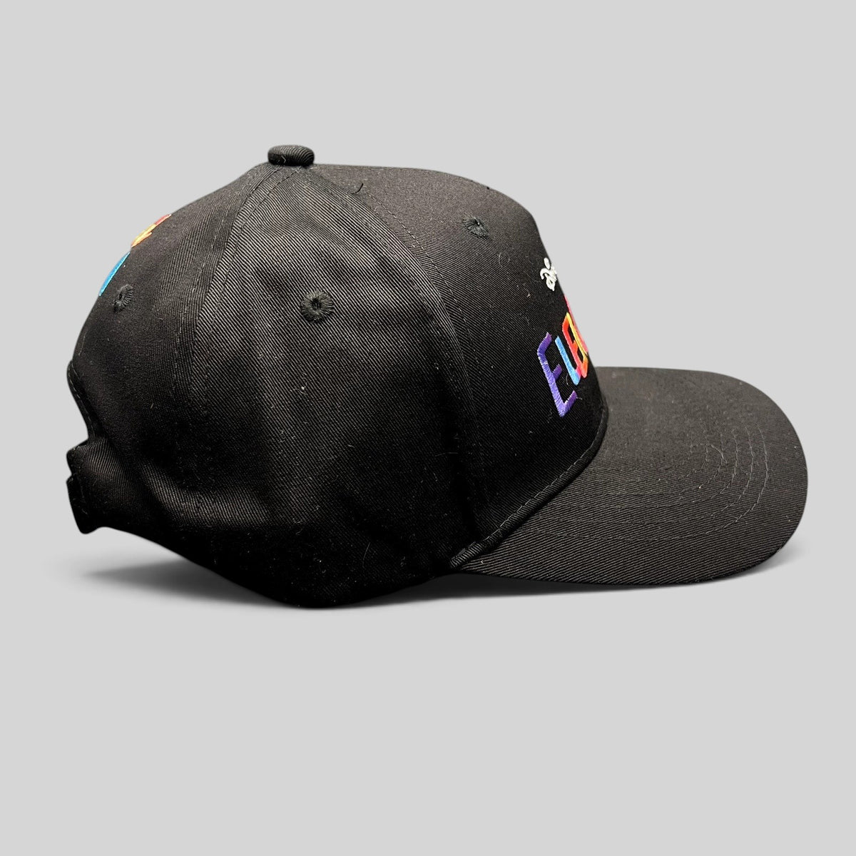Raree Finds Disney Pixar Elemental movie promo strapback hat in black with colorful embroidered logo on side view