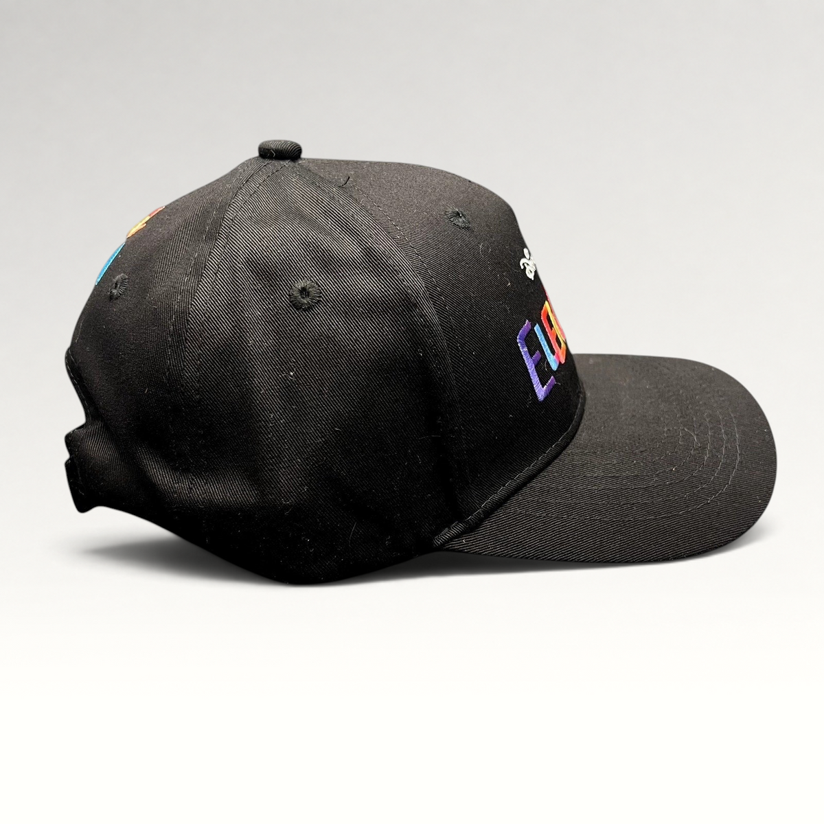 Raree Finds Disney Pixar Elemental movie promo strapback hat in black with colorful embroidered logo on side view