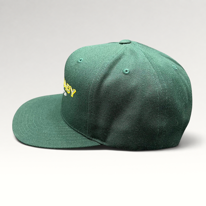 Raree Finds vintage forest green Pharmacy Boardshop snapback hat with structured crown and flat bill