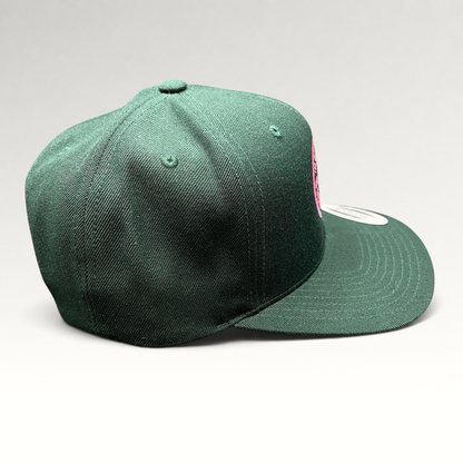 Raree Finds Penny Pound Ice dark green snapback hat with pink In Ice We Trust embroidery and structured wool blend
