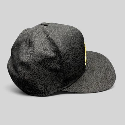 Raree Finds youth Jordan snapback hat in black with textured elephant print and a metallic gold Jumpman logo