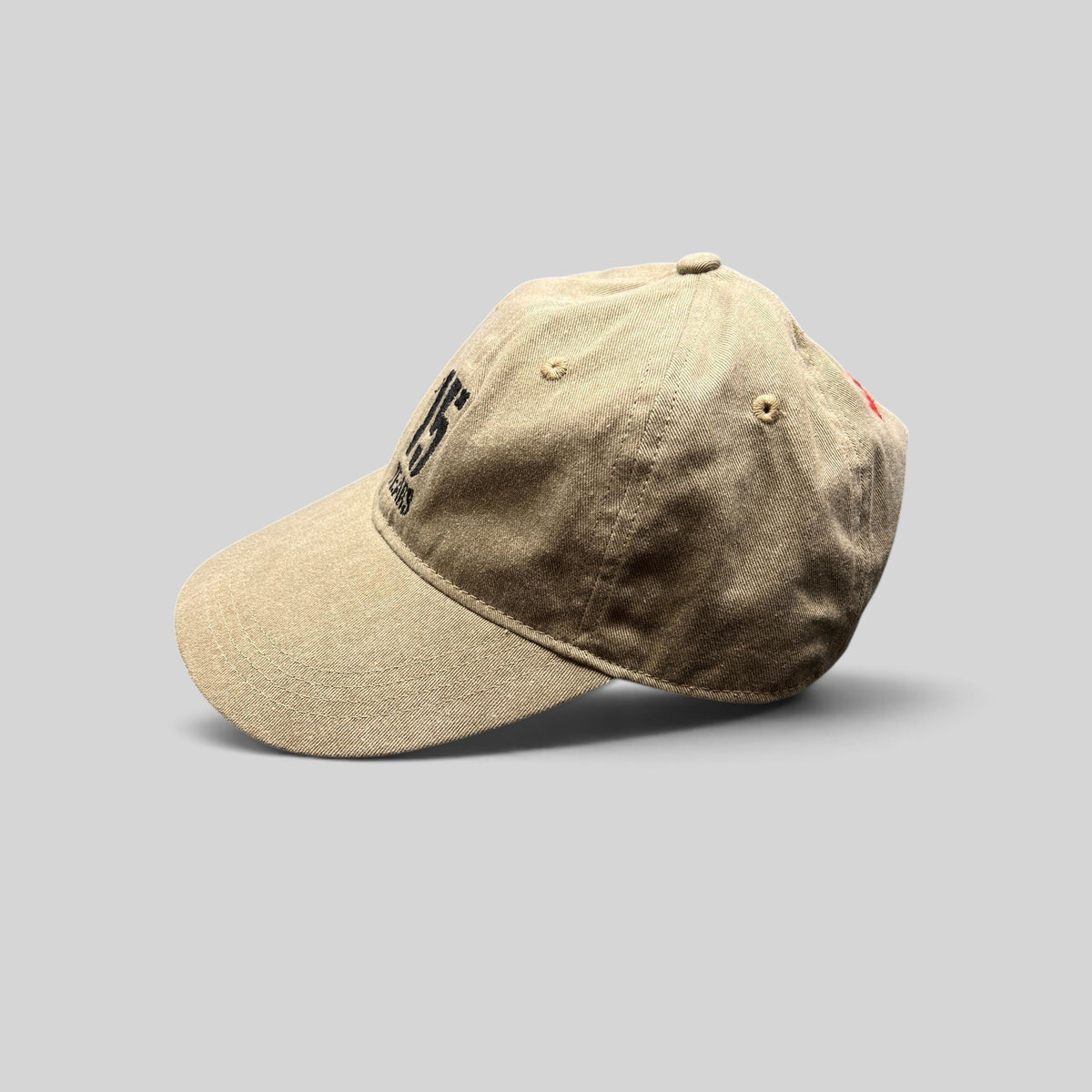 Raree Finds Jazz Aspen Snowmass khaki garment washed cotton dad hat with 15 Years embroidered graphic