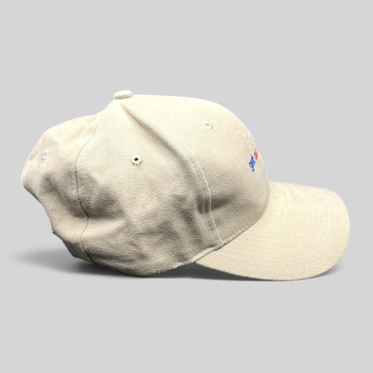 Raree Finds vintage Sports Authority khaki dad hat with embroidered Get Out And Play slogan and curved brim
