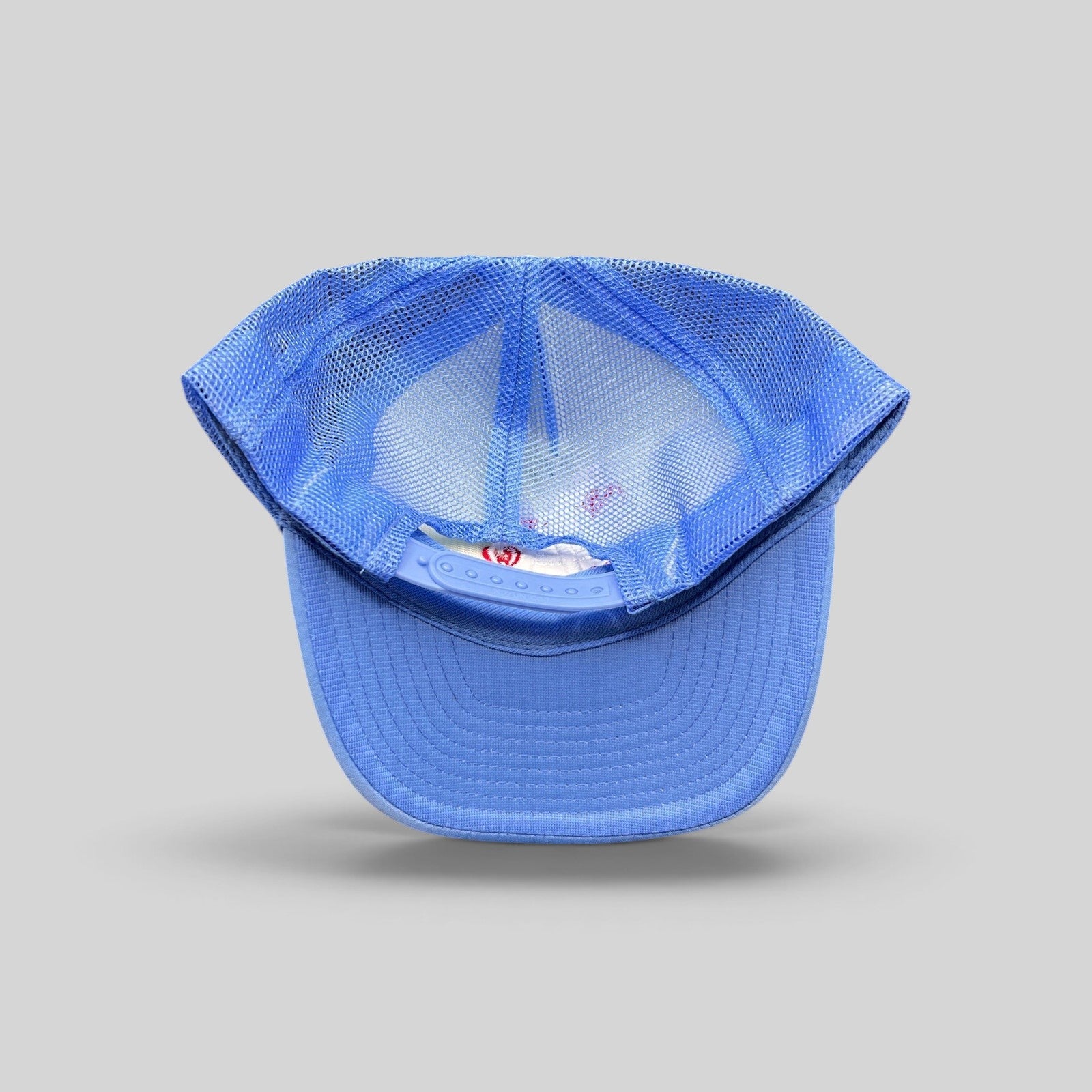 Raree Finds light-blue trucker hat with mesh back, curved brim, and adjustable snapback closure, rear view.