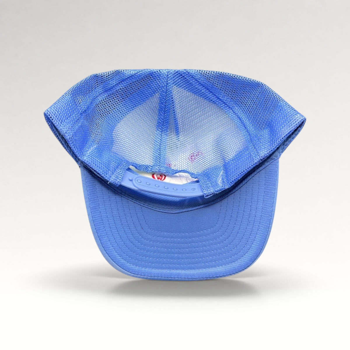 Raree Finds light-blue trucker hat with mesh back, curved brim, and adjustable snapback closure, rear view.