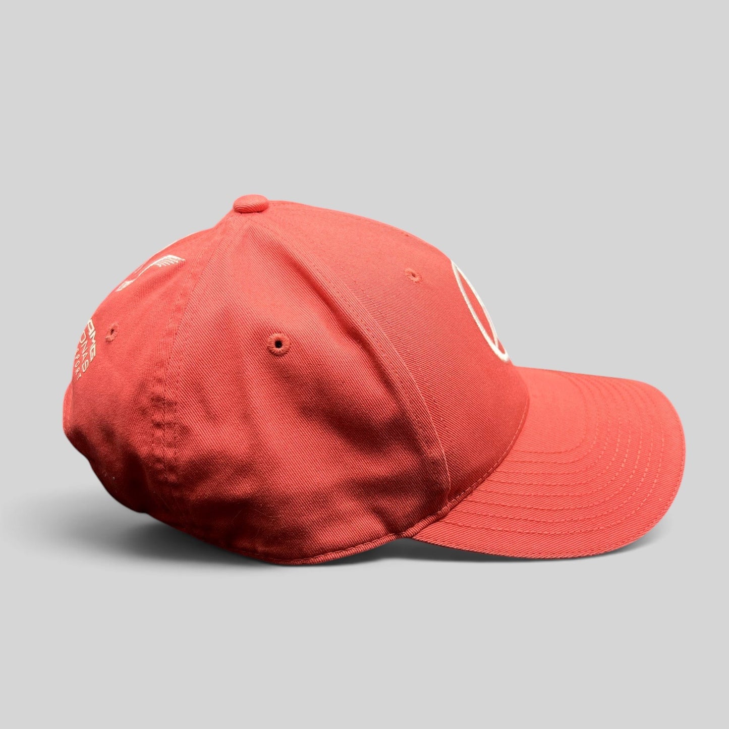 Raree Finds Mercedes AMG Petronas strapback hat in coral pink with white embroidered logo and curved brim side view