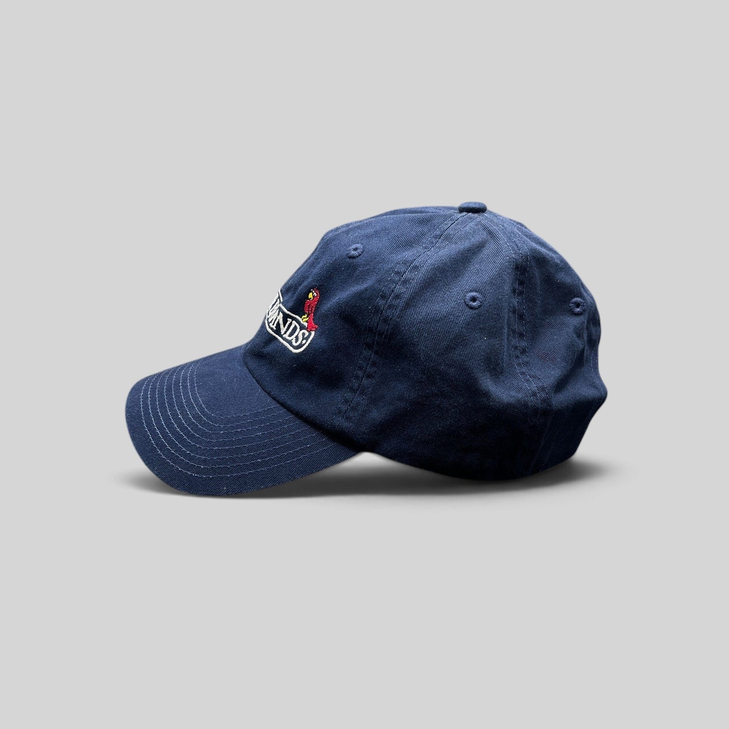 Raree Finds navy cotton dad hat with embroidered Pirate Brands logo and red parrot detail, side profile view.
