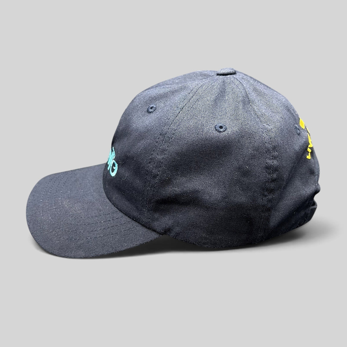Raree Finds navy blue Disney Encanto Live Tour 2022 cotton dad hat with embroidered logo and adjustable brass buckle.
