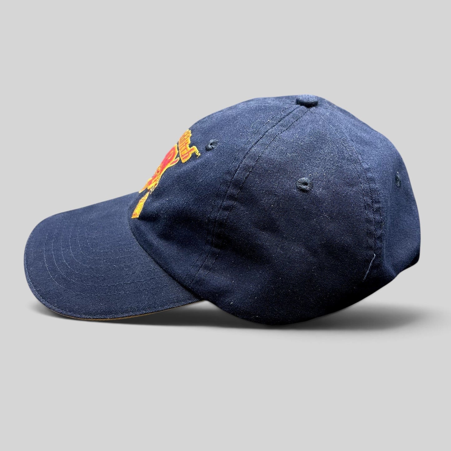 Raree Finds vintage Y2K navy blue Harry Potter Gryffindor Quidditch team strapback hat with embroidered crest
