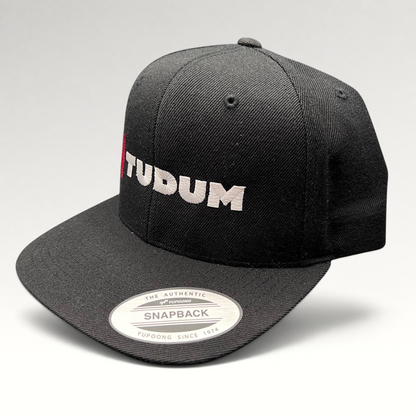 Raree Finds black Netflix Tudum snapback hat with red and white embroidery on a Yupoong structured six-panel cap.
