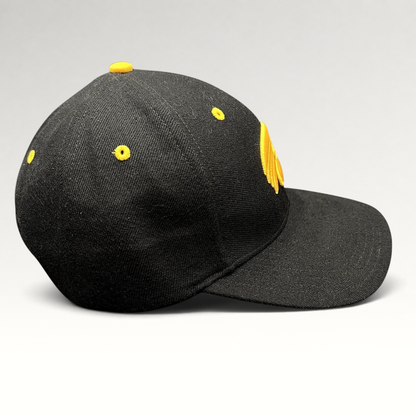 Raree Finds vintage Nike Iowa Hawkeyes strapback hat in black cotton twill with gold embroidered logo and details.