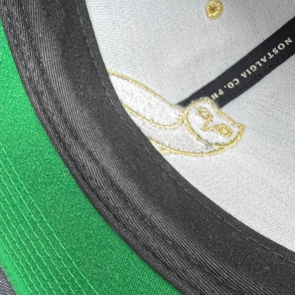 Raree Finds Toronto Raptors x OVO Mitchell & Ness snapback interior featuring gold owl embroidery and green underbrim
