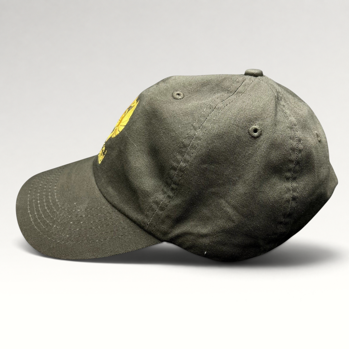Raree Finds olive drab cotton strapback hat with gold embroidered Jaeger Pilot insignia from Pacific Rim Uprising