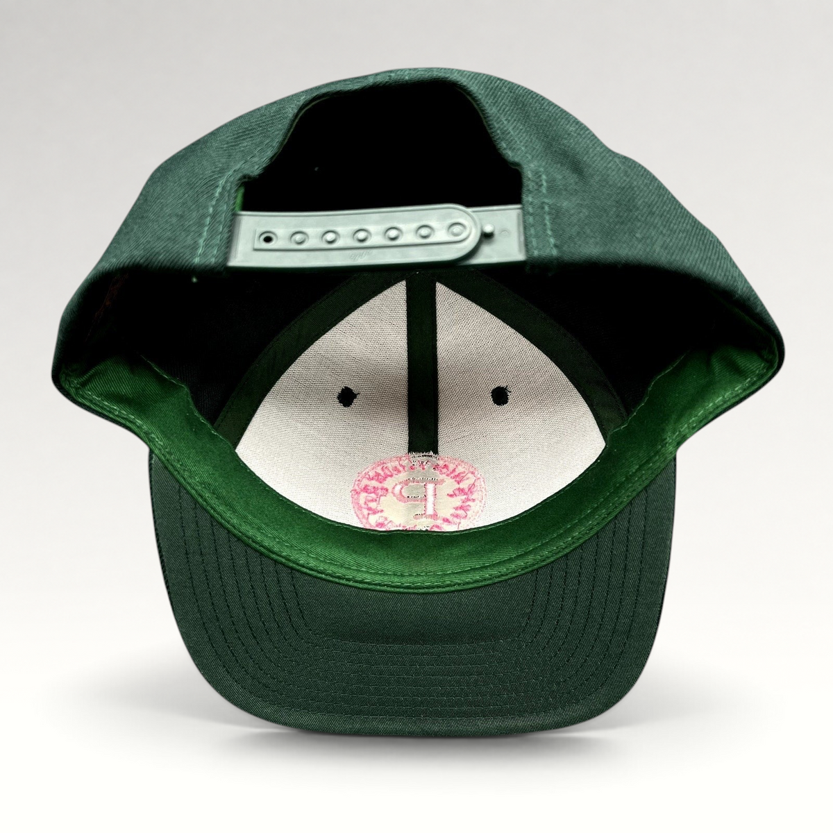 Raree Finds Penny Pound Ice snapback hat in dark green with pink embroidered logo, interior view showing snap closure