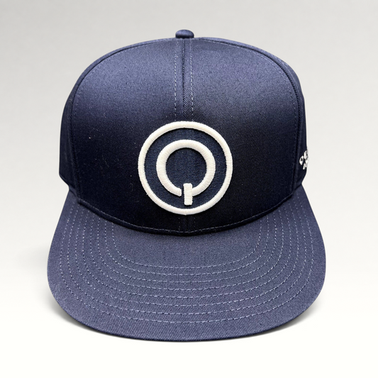Raree Finds navy blue Quixote Studios snapback hat with a white embroidered circular Q logo and flat brim