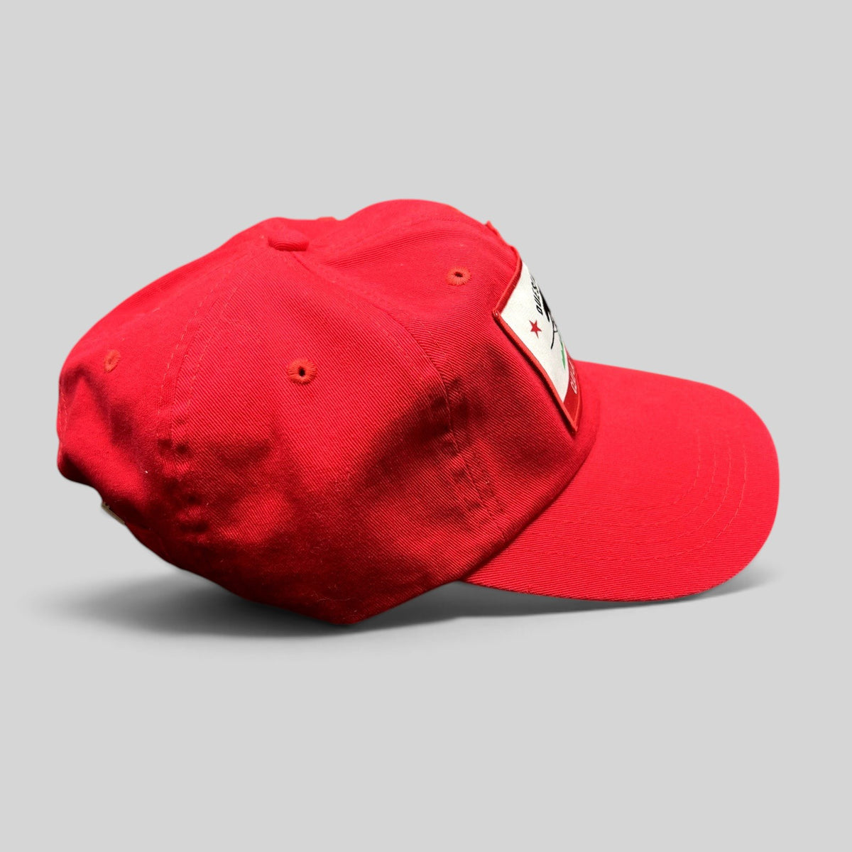Raree Finds red cotton strapback hat with Quest Kodiak and Clay Lacy Aviation woven patch, side profile view.