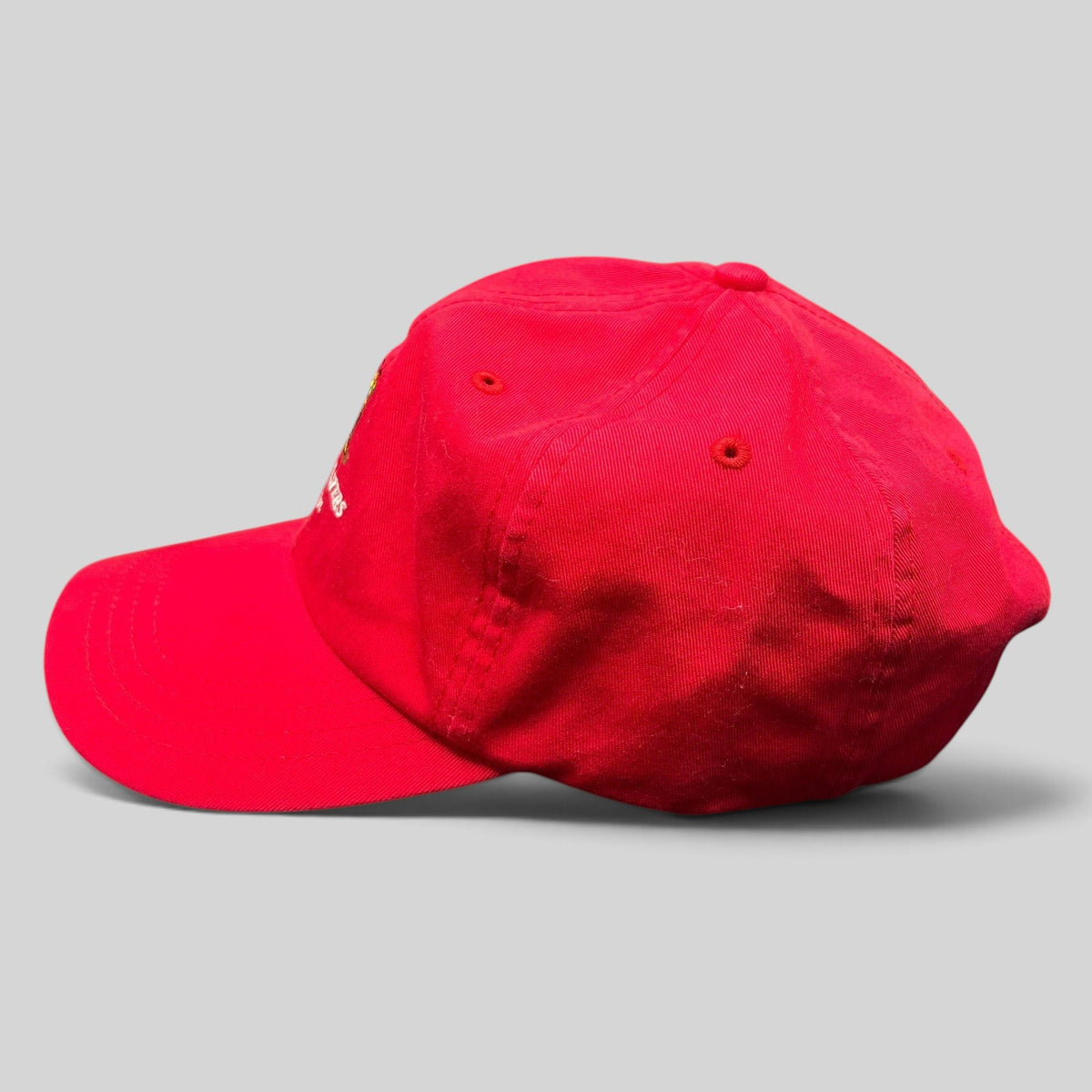 Raree Finds red vintage Trashmasters Aspen cotton strapback dad cap with embroidered mascot graphic