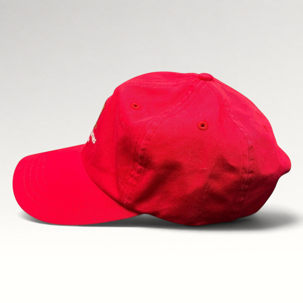 Raree Finds red vintage Trashmasters Aspen cotton strapback dad cap with embroidered mascot graphic