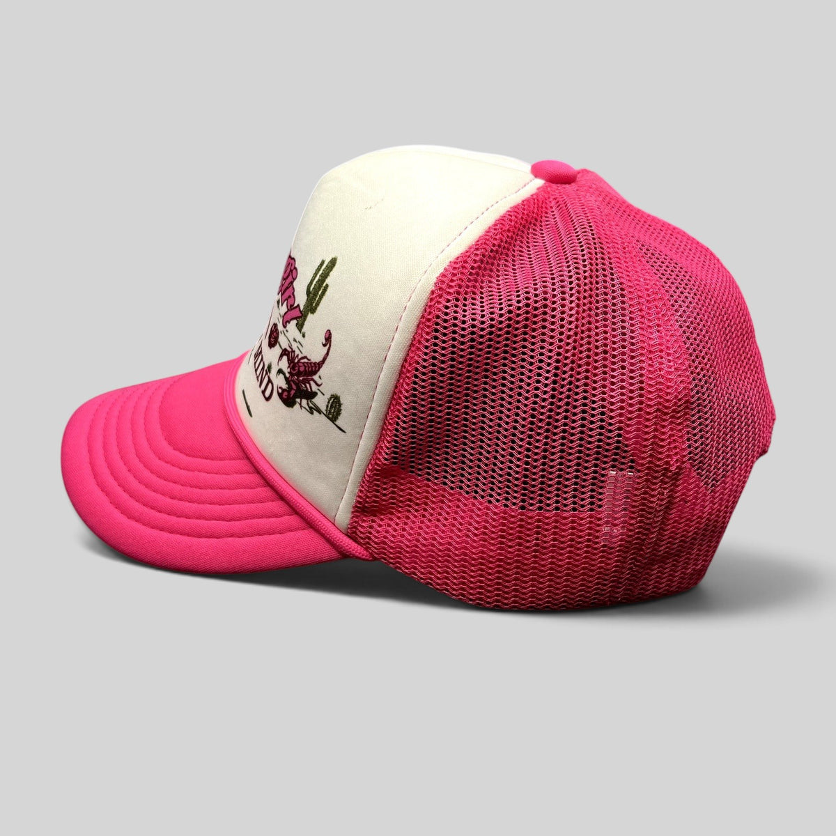 Raree Finds Shyanne pink and white trucker hat with Cowgirl State of Mind desert graphic and mesh back