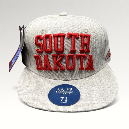 Raree Finds W Republic South Dakota fitted hat in heather gray with raised red collegiate embroidery and flat brim.