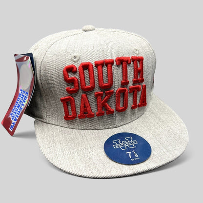 Raree Finds South Dakota fitted hat in heather gray with raised red collegiate embroidery and flat brim, new with tags.
