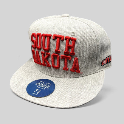 Raree Finds South Dakota fitted hat in heather gray with raised red collegiate embroidery and flat brim