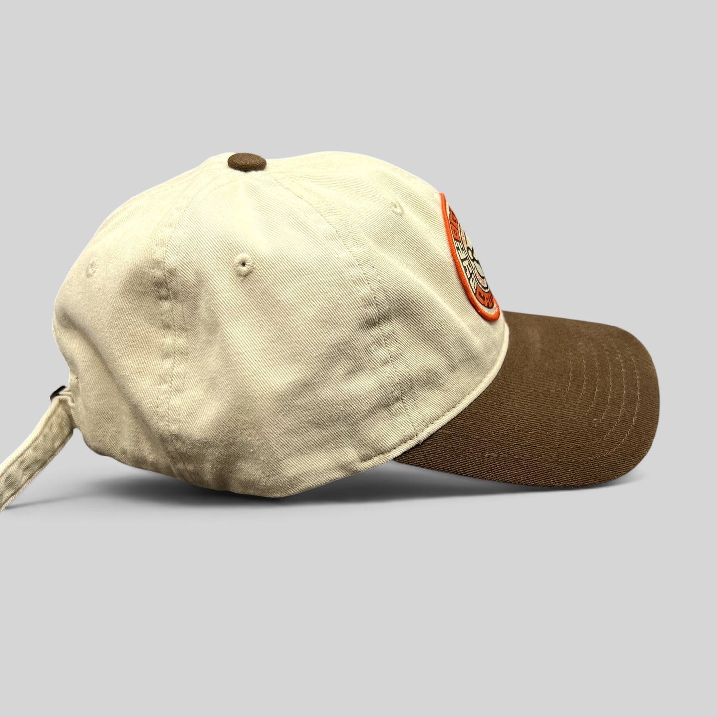Raree Finds Star Wars Galactic Sentients strapback dad hat with cream crown, brown brim, and embroidered logo.