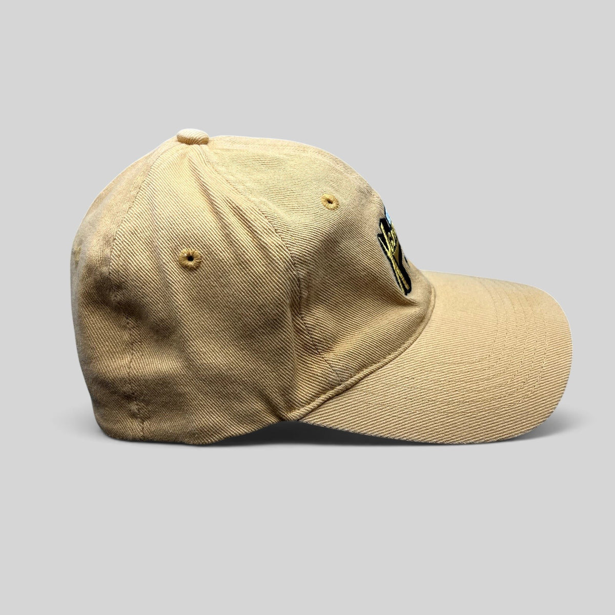 Raree Finds vintage tan cotton strapback hat featuring an embroidered Winter X Games VIII logo, side profile view.