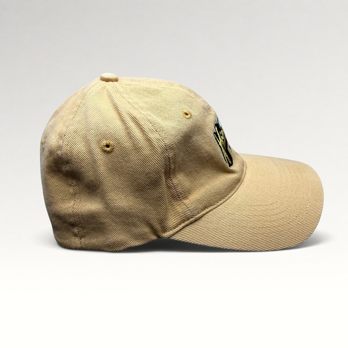 Raree Finds vintage tan cotton strapback hat featuring an embroidered Winter X Games VIII logo, side profile view.