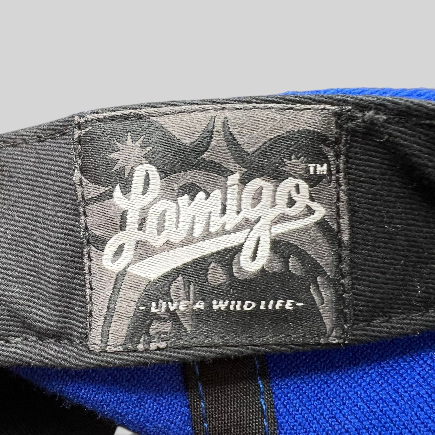 Raree Finds 2017 Taoyuan baseball cap interior label featuring Lamigo branding and Live A Wild Life text