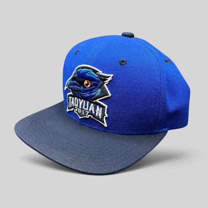 Raree Finds 2017 Taoyuan baseball snapback hat in royal blue with a navy brim and embroidered raven logo