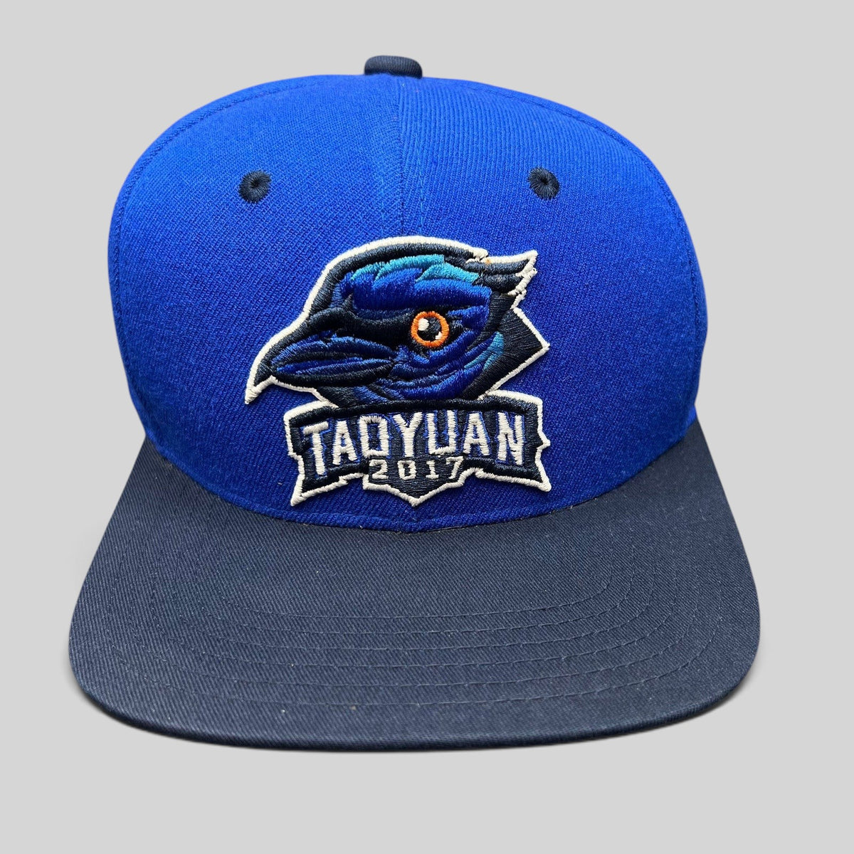 Raree Finds 2017 Taoyuan baseball snapback hat in royal blue and navy with an embroidered raven logo on the front.