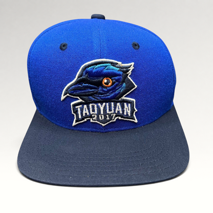 Raree Finds 2017 Taoyuan baseball snapback hat in royal blue and navy with an embroidered raven logo on the front.