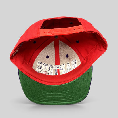 Raree Finds vintage Adidas Toronto Raptors Hardwood Classics snapback hat with red crown and green undervisor