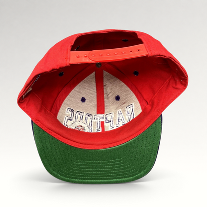 Raree Finds vintage Adidas Toronto Raptors Hardwood Classics snapback hat with red crown and green undervisor