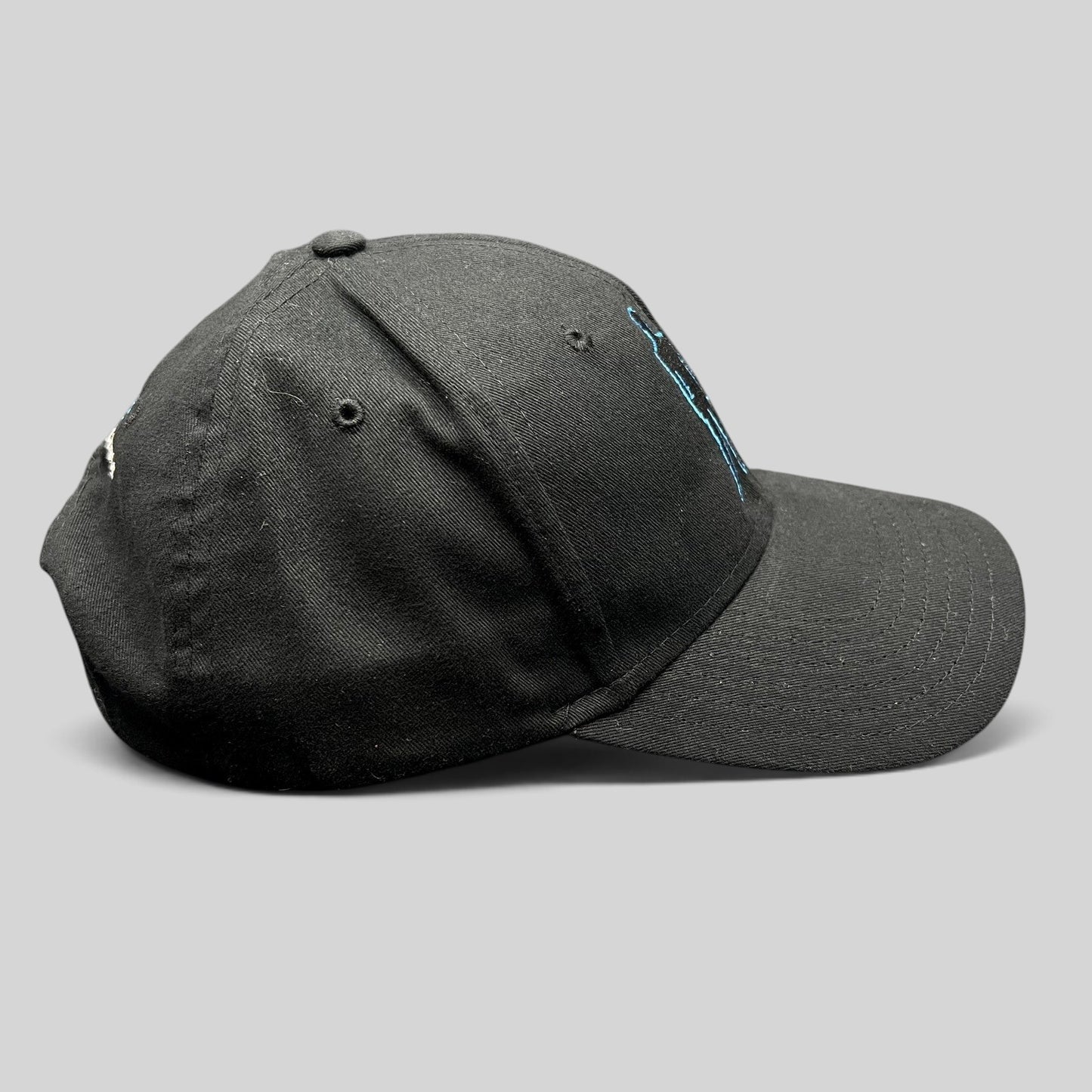 Raree Finds black U2 Experience + Innocence 2018 tour strapback hat with blue embroidered silhouette design