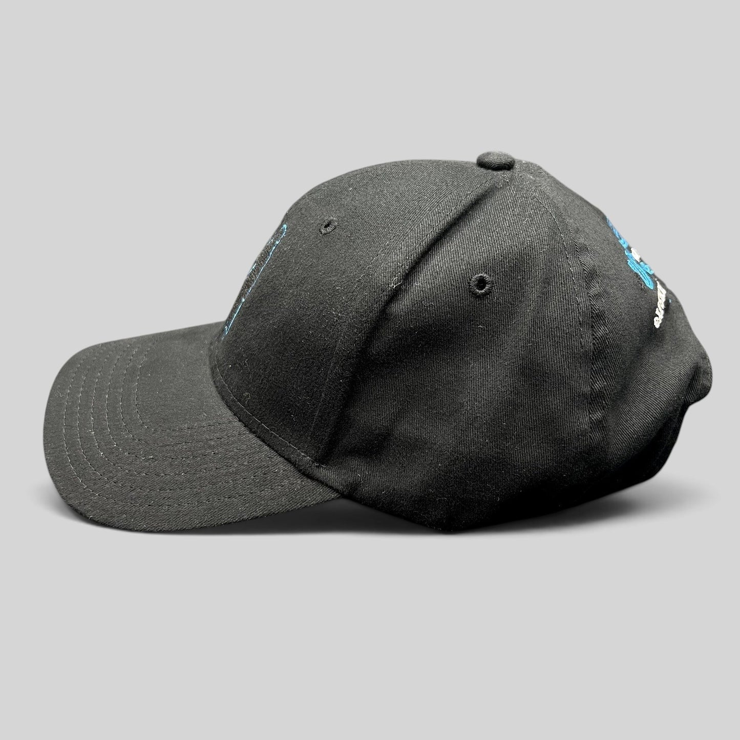 Raree Finds black U2 Experience + Innocence Tour 2018 strapback hat with blue embroidered silhouette side profile view