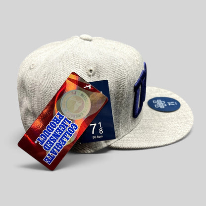 Raree Finds W Republic UCSB Gauchos fitted hat in heather gray with blue embroidery and collegiate tags attached