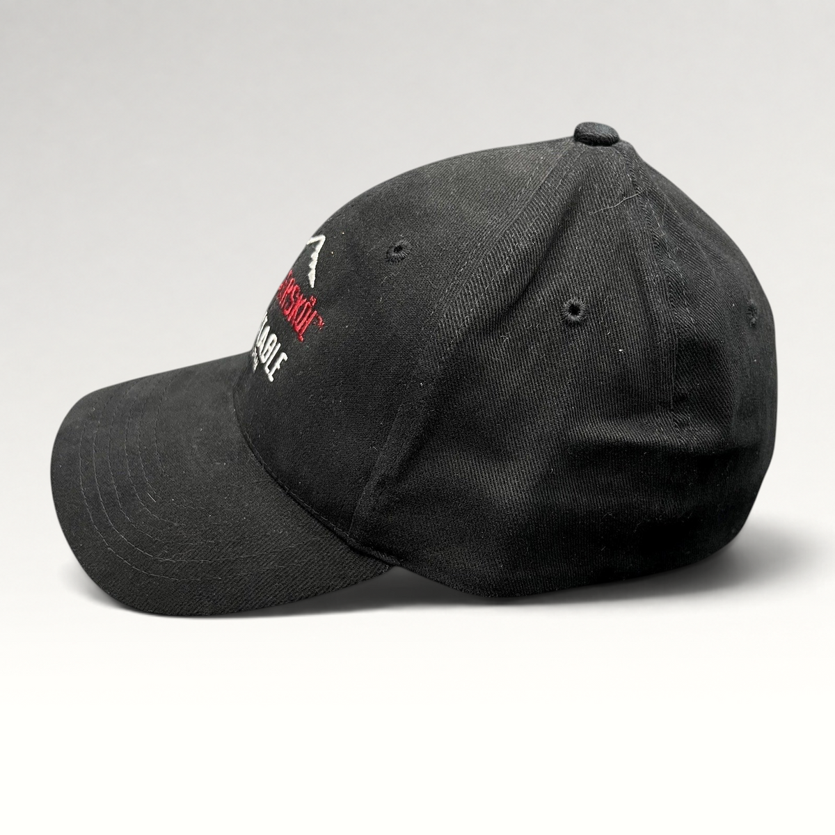 Raree Finds vintage 2004 black Aspen Winterskol stretch fit hat with embroidered mountain and Ink! Coffee logo